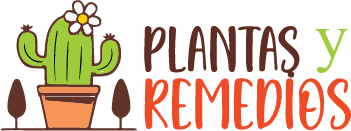 PLANTAS Y REMEDIOS